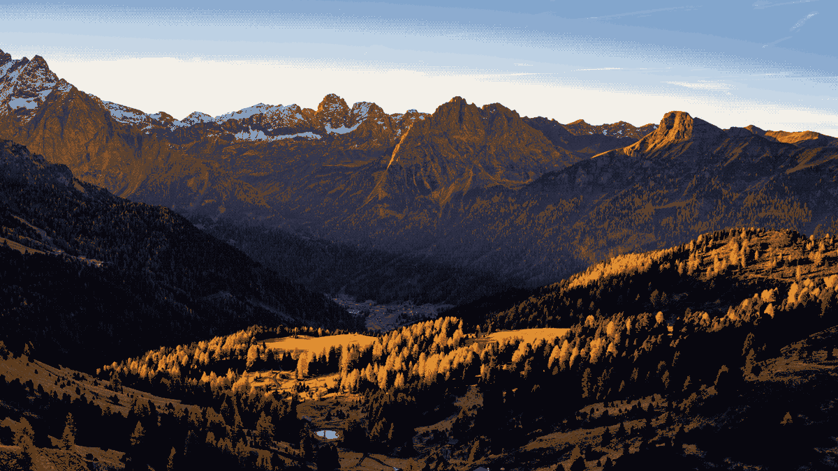 Golden larch forest glowing at sunrise